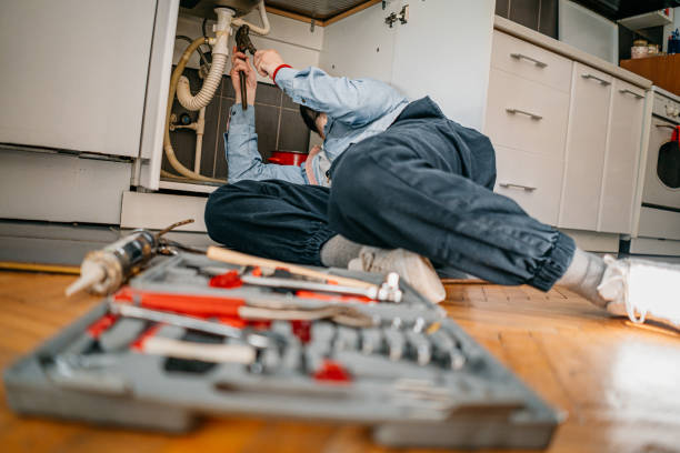 Best Shower Repair Services  in Carbondale, IL