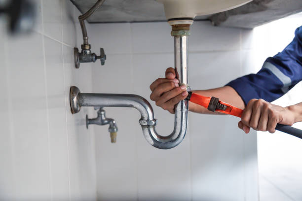 Best Leak Detection Services  in Carbondale, IL