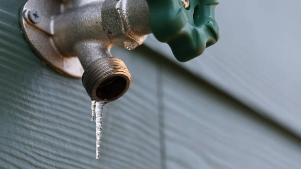 Best Sprinkler Systems  in Carbondale, IL