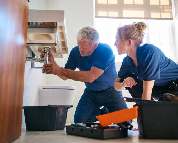 Best Toilet Repair Services  in Carbondale, IL